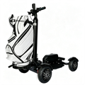 Foldable Golf Electric Scooter for Golf Course Travel